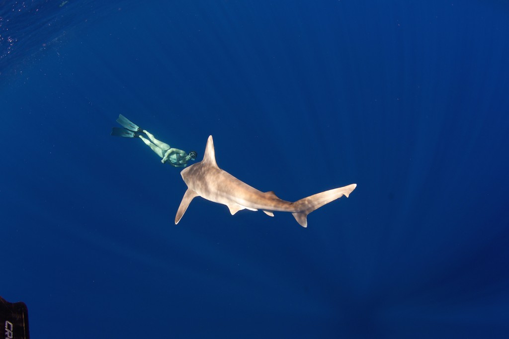 Laura and Sandbar. Image by Juan Oliphant