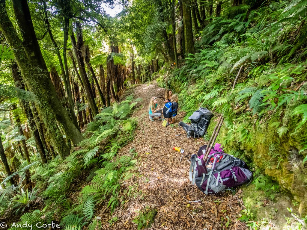 First multi-day hike for the girls.